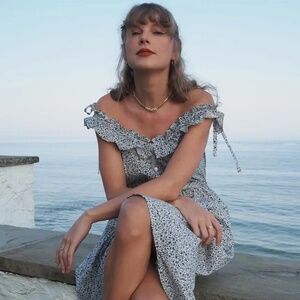 DOEN Mandarin Cotton Dress Navy Champignon Floral NWOT ✨ Taylor Swift